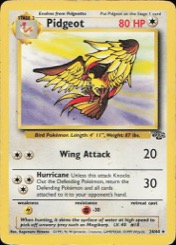 Pidgeot 24/64