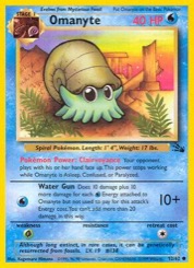 Omanyte Fossil #52