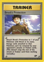 Brock's Protection Gym Challenge #101