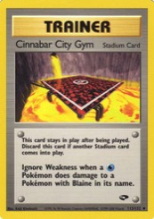 Cinnabar City Gym 113/132