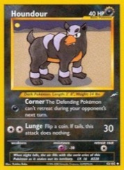 Houndour Neo Destiny #43