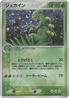 Japanese Sceptile (ジュカイン)