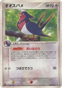 Japanese Swellow (オオスバメ)