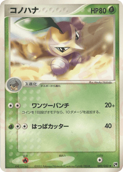 Japanese Nuzleaf (コノハナ)