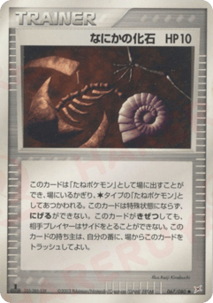 Japanese なにかの化石 (なにかの化石)