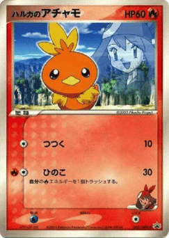 Japanese Torchic (May's Torchic)