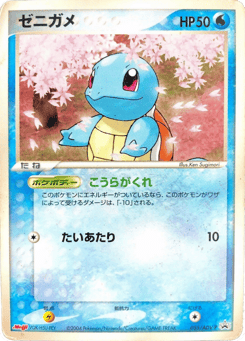 Japanese Squirtle (Squirtle)