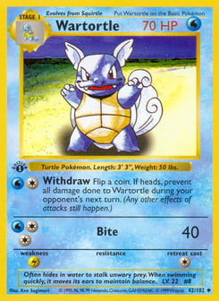 Wartortle Base #42