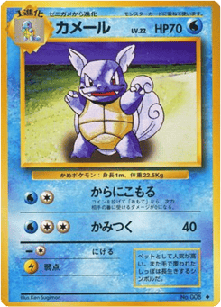 Japanese Wartortle (カメール)