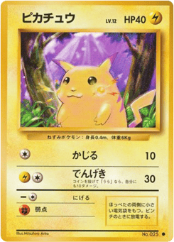 Japanese Pikachu (ピカチュウ)