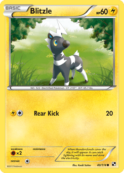 Blitzle Black & White #40