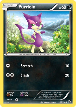 Purrloin Black & White #66