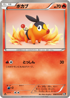 Japanese Tepig (ポカブ)