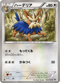 Japanese Herdier (ハーデリア)