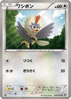 Japanese Rufflet (ワシボン)