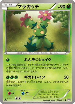 Japanese Maractus (マラカッチ)