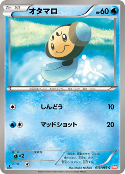 Japanese Tympole (オタマロ)