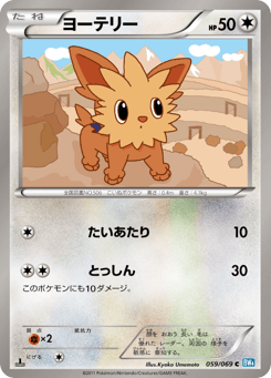 Japanese Lillipup (ヨーテリー)