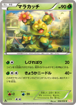 Japanese Maractus (マラカッチ)