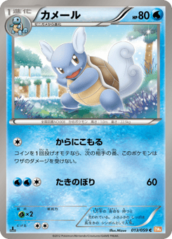 Japanese Wartortle (カメール)