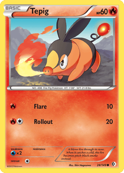 Tepig Boundaries Crossed #24