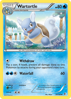 Wartortle Boundaries Crossed #30