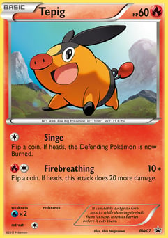 Tepig BW Black Star Promos #BW07