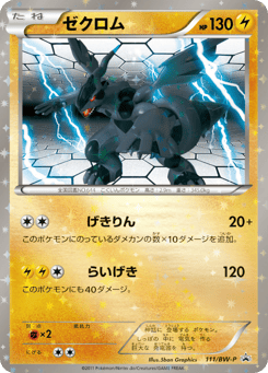Japanese Zekrom (ゼクロム)