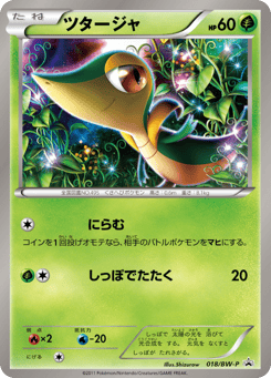 Japanese Snivy (ツタージャ)