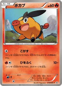 Japanese Tepig (ポカブ)