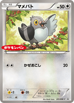 Japanese Pidove (マメパト)