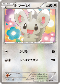 Japanese Minccino (チラーミィ)
