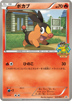 Japanese Tepig (ポカブ)