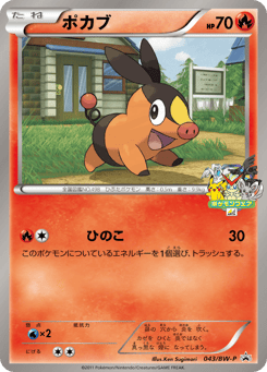 Japanese Tepig (ポカブ)