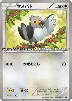 Japanese Pidove (マメパト)