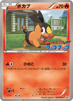 Japanese Tepig (ポカブ)