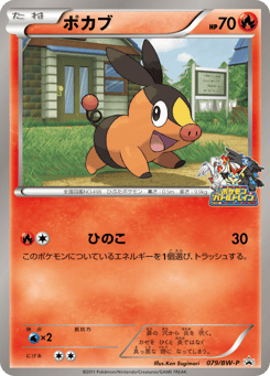 Japanese Tepig (ポカブ)