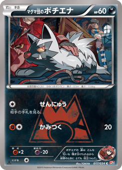 Japanese Poochyena (マグマ団のポチエナ)