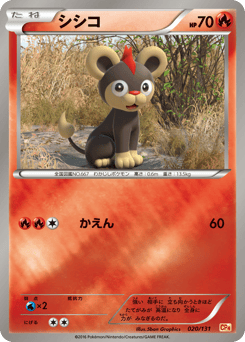 Japanese Litleo (シシコ)