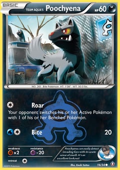 Team Aqua's Poochyena Double Crisis #16