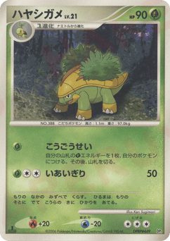 Japanese Grotle (ハヤシガメ)