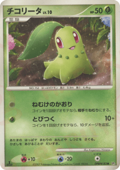 Japanese Chikorita (チコリータ)