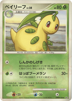 Japanese Bayleef (ベイリーフ)