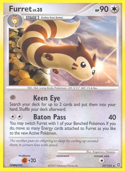 Furret Secret Wonders #27