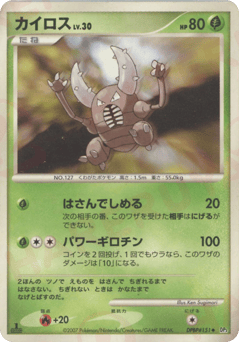 Japanese Pinsir (カイロス)