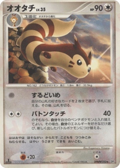 Japanese Sentret (オオタチ)