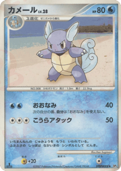 Japanese Wartortle (カメール)