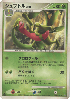 Japanese Grovyle (ジュプトル)