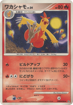 Japanese Combusken (ワカシャモ)