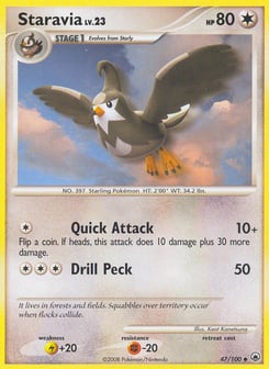 Staravia Majestic Dawn #47